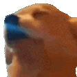 dogJAM animated GIF emoji from No-Sell Jobbers🤼