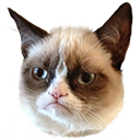 grumpycat Discord sticker from Transhumanism