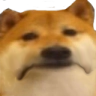 saddog Discord Emoji from Sammy's Indie-Electro Lounge