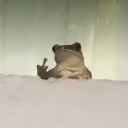 Froggo_FU custom emote - Besties Community