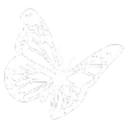 qbutterfly2 custom emote | ﹙⌕﹚　﹫SYNTHERA　   𓂃⭑