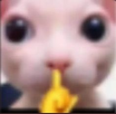 shhh custom emote from Nova Luna (新月)