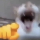 Lol_2 custom emote - 𝐙𝐑𝐗𝟎𝟕