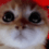 z_Kittyy animated Discord emote - Lemniscate Network