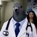 DoctorPigeon Discord Emoji | The EndereyeXD45 Commonwelth