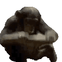 MODS animated GIF emoji from Lucid Love ☾  Relationship ⭑ Social ⭑ Gaming ☽