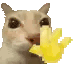 mr_wavey animated Discord emote | Tambayan Ave.