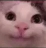 beluga Discord Emoji | Battlefield 6  Germany