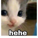 cathehe custom emote - RIZZ HEAVEN | Chill • Hangout • VC • SFW • Events • Friends • Giveaways • Ask to DM • Non Dating