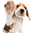 dogpaw Discord Emoji - || mongrel mutts