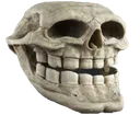 SkullTroll Discord sticker | 𓆩❈𓆪 Sylvara Café 𓆩❈𓆪
