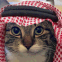 Cat Discord Emoji - HBM Boom