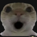 woahcat custom emote | Goober N' Chill 🐌