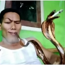 A man holds a cigarette to the mouth of a cobra in a surreal and humorous interaction.
