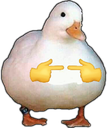 Duck Discord Emoji - RIZZ HEAVEN | Chill • Hangout • VC • SFW • Events • Friends • Giveaways • Ask to DM • Non Dating