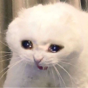 eb2053ca4a4d1e7aaa7cbe24f709c213 custom emote | ✩˚｡⋆Apophenia⋆.ೃ✧