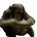 bonk animated Discord emote | Lovescape