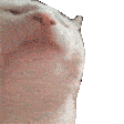 catjamhaha animated GIF emoji - Shark Earnings: Earn Money & Rewards