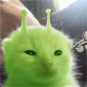 A neon green cat with alien antennae on its head looking at the camera with a skeptical, unimpressed expression.