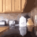 foodfight animated Discord emote from Wolfs Server
