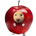 apel_hamer Discord Emoji - Autism Mansion