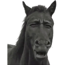 horse_disgust Discord Emoji - The Anemonation