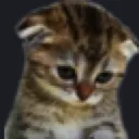 catsad custom emote | Tathastu