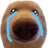 dawg_cry custom emote - Why_soi hgo