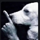 emoji_36 Discord Emoji - 𝐑𝐂〢𝐑𝐚𝐧𝐠𝐚𝐫𝐨𝐤 𝐜𝐫𝐚𝐟𝐭🗺
