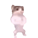 Xieron_stolen_emoji_1779445040 animated Discord emote | Lovers Cafe™ | Indian Discord Server • Nitro • Voice Chat • Active • India • Hangout • Gaming • SFW
