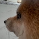 dogsideeye custom emote from Besties Community