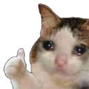 A cat with teary eyes holding up a paw in a thumbs up gesture.