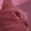 catvibin animated GIF emoji from ChillResort🌴 ‘ social ‘ gws ‘ vcs ‘ nitro 🍹
