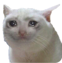 sadcat Discord sticker from Extinction of the Exaverse