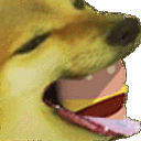 cheeseburger animated emote | SKYFLOW ESPORTS