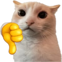 CattoThumbsdown Discord Emoji | DM Request 📪 ⌇ Ask To DM & Chatting ⌇ Non Dating ⌇ Social ⌇ Friendly ⌇ Nitro ⌇Non Toxic