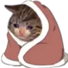 catcozysad custom emote | ★ Asteri ★