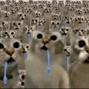 A crowd of cats with wide eyes holding blue spoons in their mouths.