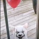 look_at_ur_window custom emote | 𝐓𝐡𝐞 𝐁𝐡𝐚𝐢𝐬👑🗿