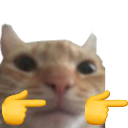 catfingerguns custom emote | 💫 Solnyra GAMERS