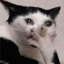 Makin_me_cry Discord sticker | 𝙰𝐧𝚡𝐢𝚎𝐭𝚢 𝐆𝚘𝐛𝚕𝐢𝚗𝐬