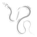 Snake slithering in a minimalist white line-art style on a black background.