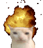 boomcat animated Discord emote from ChekoVerse