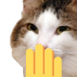 eehe Discord Emoji | CHİLLBAYCAN