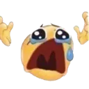 EmojiWHYOHWHY Discord Emoji from 𓆩❈𓆪 Sylvara Café 𓆩❈𓆪