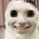 emoji_44 custom emote from Ngôi nhà chút chít ᥫᩣ