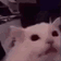 9183flashbang animated GIF emoji - Finn's Friendlings