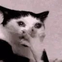 gasp custom emote | Curatorium of Secrets