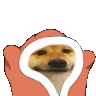 ujjwal_blankies animated emote | Apricity™ 😻 | Egirl • Social • Chat • Chill • Vc • Ask To DM