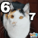 6008767cat animated GIF emoji from Sell Lemons | Roblox